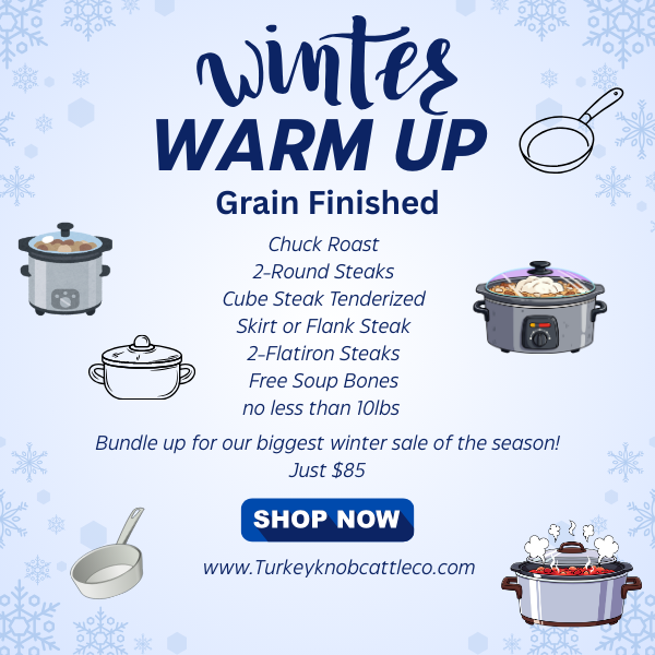 Winter Warm Up Bundle - Grain Finished